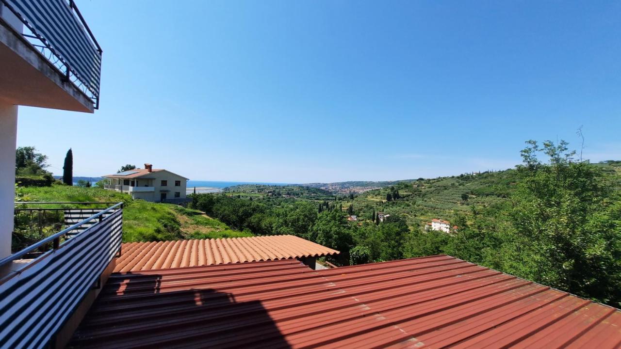 Apartma Bajc Secovlje Luaran gambar
