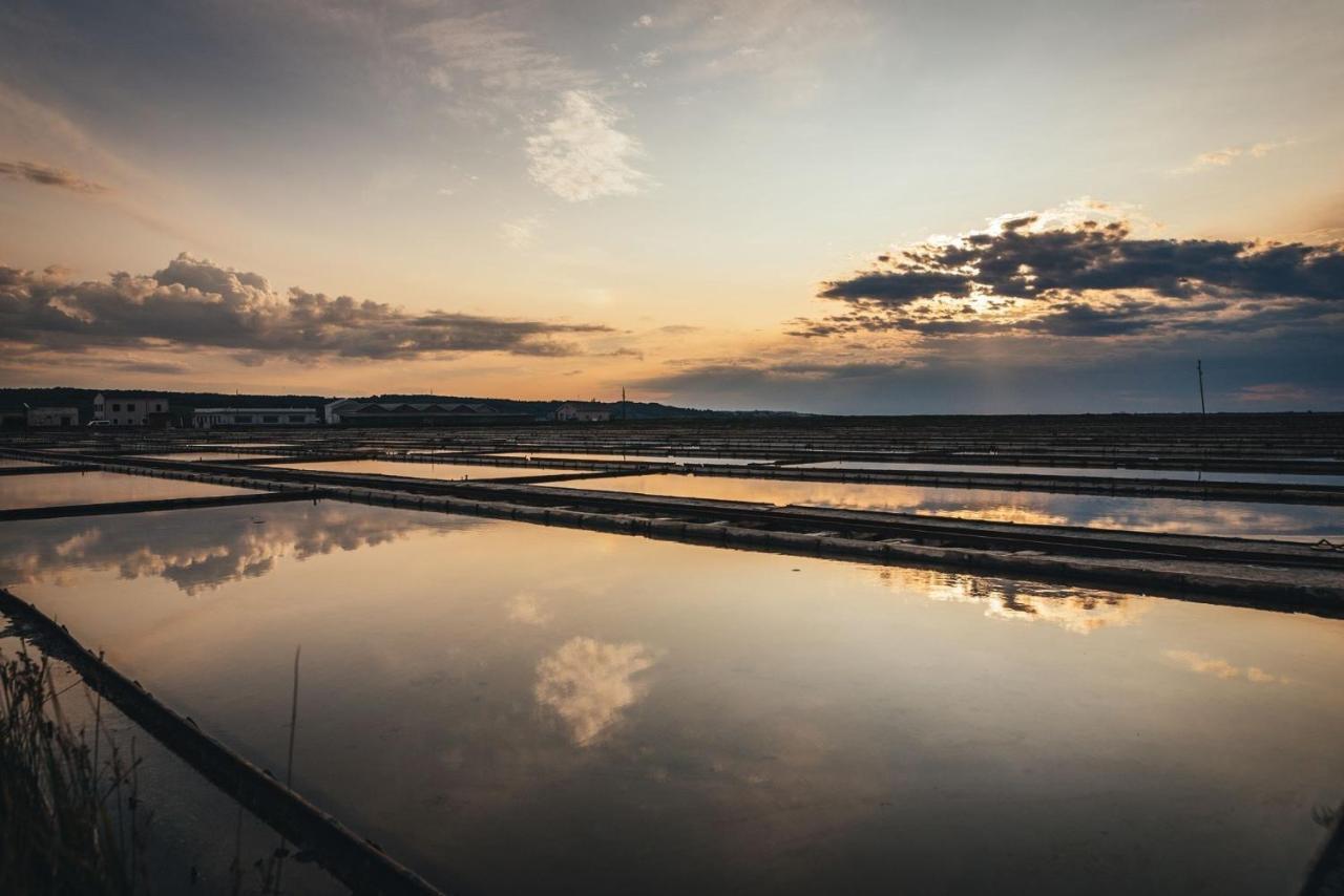 Apartma Bajc Secovlje Luaran gambar